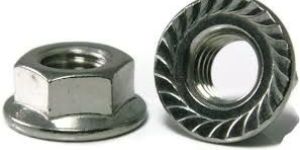 Stainless Steel Flange Nut