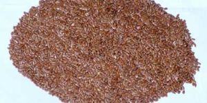 Flax Seeds