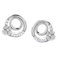 Platinum Earrings