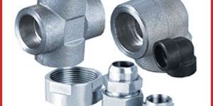 Stainless Steel Forged Fittings