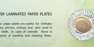 Silver Laminated Paper Plate
