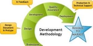 Business Software Development