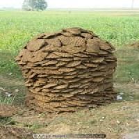 Cow Dung