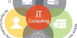 It Consulting Services