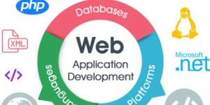 Web Application Development Services