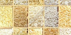 Basmati Rice