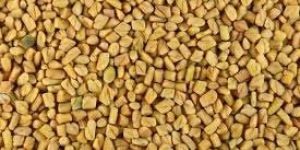 Fenugreek Seeds