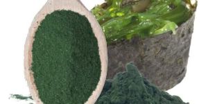 Spirulina Extract