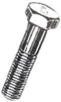 Silver Hexagonal Stainless Steel Hex Bolt