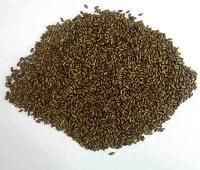 Musli Seed