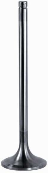 Inlet Exhaust Valve