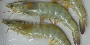 Vannamei Shrimps