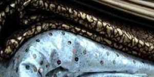 Polyester Dupion Fabrics