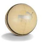 Cricket Balls