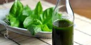 Basil Oil