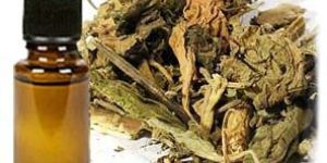 Shamamatul Amber Attar