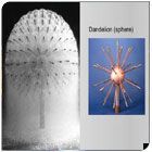 Dandelion Fountain