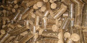 Bio Mass Briquettes