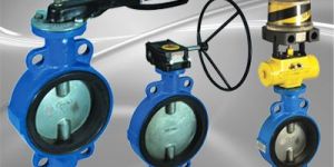 Centric Type Butterfly Valve
