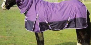 Stable Horse Rug 01