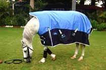 Turnout Horse Rug 01