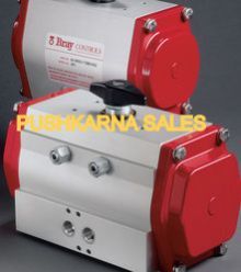 Pneumatic Actuator