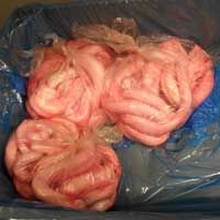 Buffalo Meat