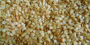 Chilli Pepper Seed