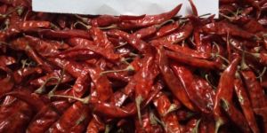 Dry Red Chilli
