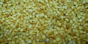 Red Chilli Seed