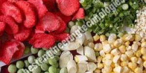 Vegetable Dehydration Plant