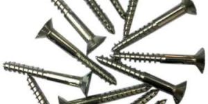 Stainless Steel Polish Wood Screw