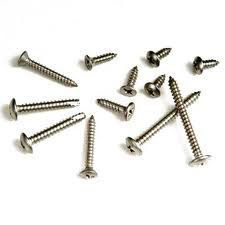 Steel Screw