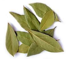 Bay Leafs