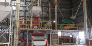 Seed Processing Plant
