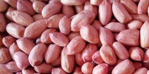 Peanut-Ground nut