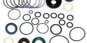 Hydraulic Aston Oil Seal