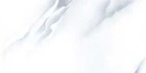 Printed Floor Tile (PFT - 2113)