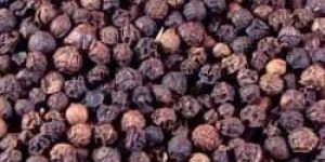 Brown Pepper Seeds