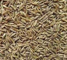 Cumin Seeds