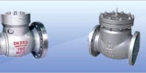 Swing Check Valve