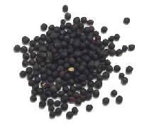 Medicinal Seeds