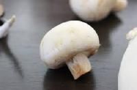 Fresh White Mushroom