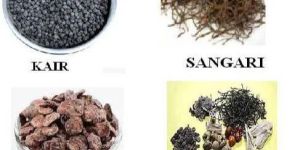 Dry Vegetables