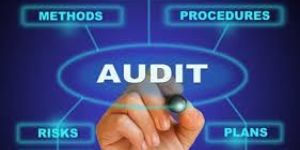 Cyber Security Audit Services