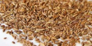 Dill Seed