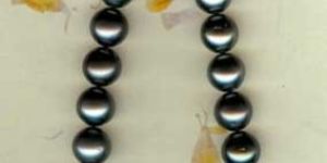 Black Tahitian South Sea Pearl
