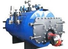 Wood Fired Steam Boiler