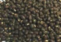 Black Matpe Beans