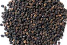 Black Pepper Seeds